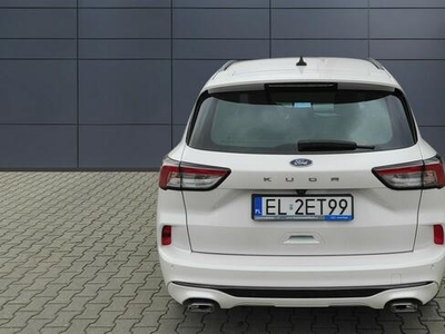 Ford Kuga ST-Line 1.5 EcoBoost 150 KM M6 MD15666