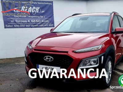 Hyundai Kona Pisemna Gwarancja 12 miesięcy I (2017-2023)