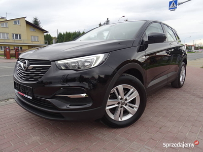 Opel Grandland X Bezwypadkowy Serwisowany