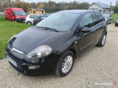 Punto Evo