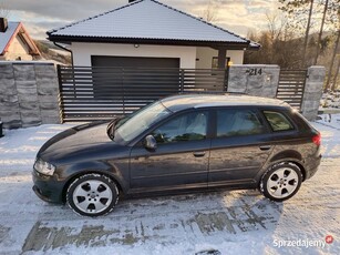 Audi a3 8p 1.6mpi 102km lift 2009