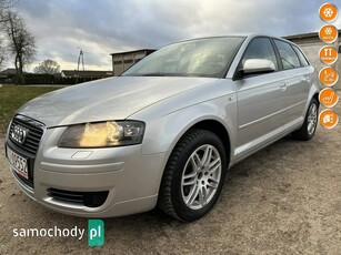 Audi A3 8P