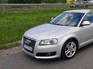 AUDI A3 8P QUATTRO