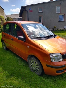 Używane Fiat Panda II (2003-2012)