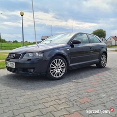 Audi A3 8P 2,0tdi