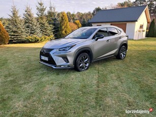 Lexus NX 300 FSport