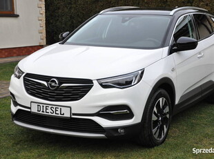 Opel Grandland X Kamera Skóry Ledy Navi Automat Blisy Gwarancja Zarej Płock