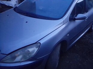 Peugeot 307 1.6