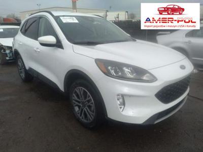 Ford Kuga II (2012-) 2020, 2.0L, 4x4, SEL, od ubezpieczalni