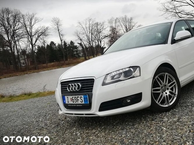 Audi A3 1.6 Limited Edition