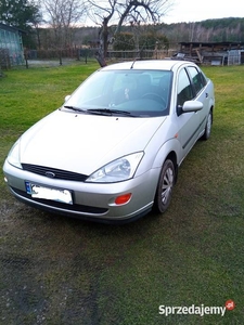 Ford Focus 1.6 benzyna