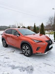 Lexus NX 300h F Impression AWD