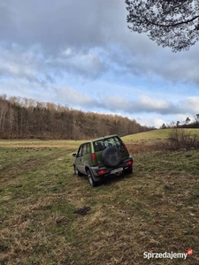 Nissan Terrano II, 4x4, 1998, sprawny