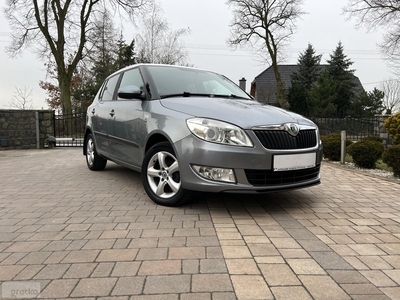 Skoda Fabia II Family