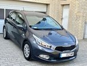 Używany Kia Ceed 2013