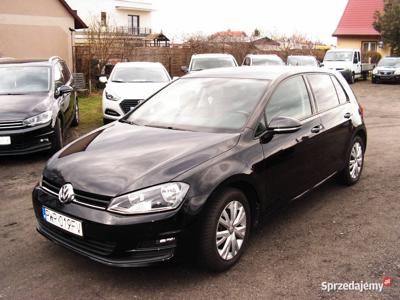 Volkswagen Golf VII 1,6 TDI 2014 r