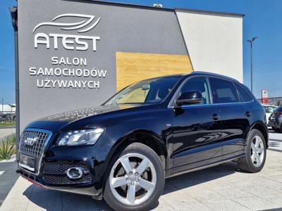 Audi Q5 I SUV 2.0 TDI 170KM 2010