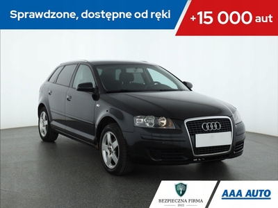 Audi A3 8P Hatchback 3d 1.6 102KM 2005