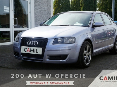 Audi A3 8P Hatchback 3d 1.9 TDI 105KM 2007