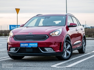 Kia Niro Salon Polska, Serwis ASO, Automat, Skóra, Navi, Klimatronic,