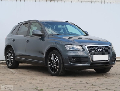 Audi Q5 I (8R) , Automat, Skóra, Navi, Xenon, Bi-Xenon, Klimatronic,