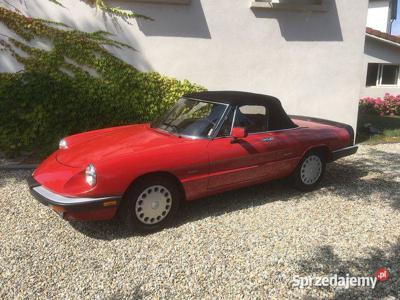 Alfa Romeo Spider Graduate