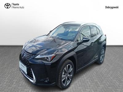 Używane Lexus UX - 255 600 PLN, 4 313 km, 2022