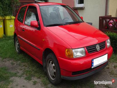 Volkswagen Polo krajowy