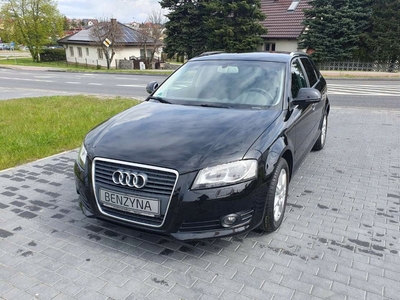 Audi A3 8P Hatchback 3d 1.4 TFSI 125KM 2009