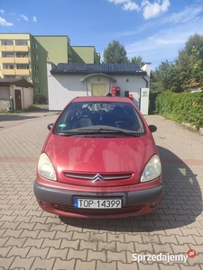 Citroen xsara Picasso 2004 warta uwagi