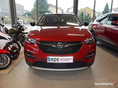 OPEL GRANDLAND X 1.6 benzyna Automat, salon Polska