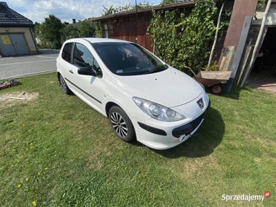 Peugeot 307 1.4 b+g