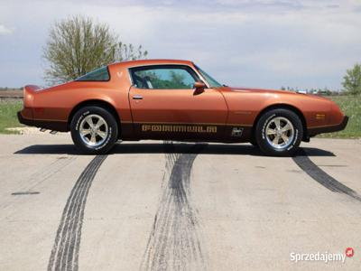 Pontiac Firebird / Trans Am 1980 Formula 4.9l benz. V8 . II…