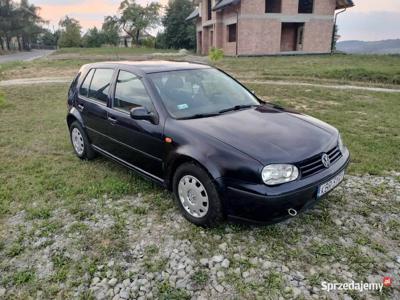 Volkswagen Golf IV 1999 1.4 benzyna