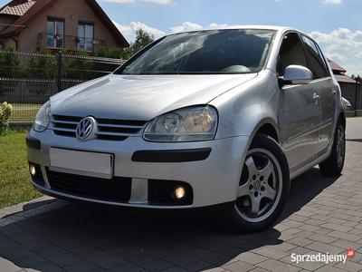 Volkswagen Golf V 1.6 Benzyna Klimatron Super Stan Alu