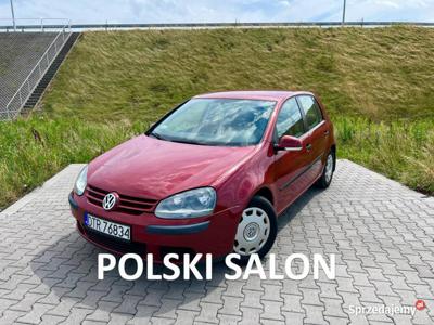 Volkswagen Golf Volkswagen Golf V 1.4 16V PL Salon *klimaty…