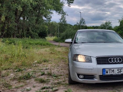 Audi a3 8p 2.0 benzyna 150 km