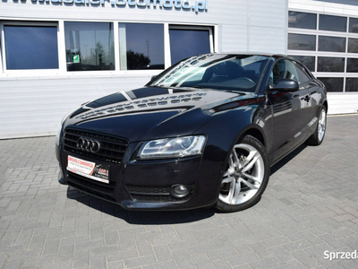 Audi A5 2.0 TDI Bi-Xenon LED Navi Skóra 232 tys.km. Euro-5 8T (2007-2016)