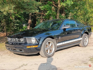 Ford Mustang 2006r sprawny po oplatach celnych