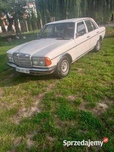 Mercedes 123