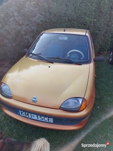 Seicento 900 2002 1 rej.