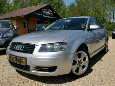 Audi A3 8L Hatchback 1.6 i 102KM 2003