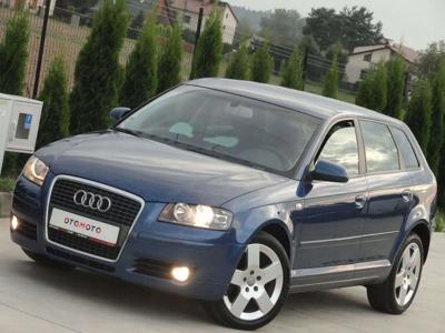 Audi A3 8P Hatchback 3d 1.9 TDI 105KM 2007