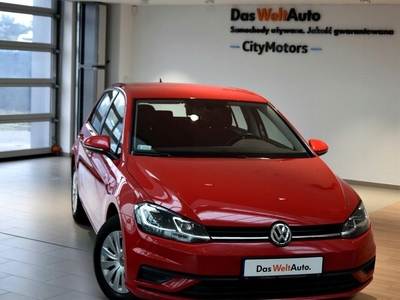 Volkswagen Golf VII Hatchback 3d Facelifting 1.0 TSI 115KM 2019