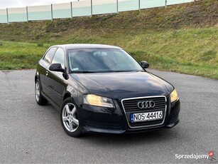 Audi A3 8P 1.9 tdi | ostatni LIFT 8P | ZAMIANA