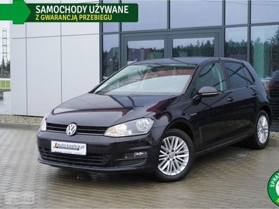 Volkswagen Golf VII Navi, Kamera, Martwe pole, Grzane fotele, Climatronic, GWARANCJA, AS