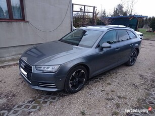 Audi A4 B9 2.0 TDI 2019rok