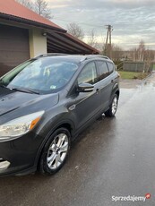 Ford escape (kuga)