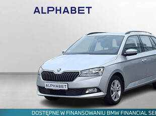 Škoda Fabia Skoda Fabia 1.0 TSI Ambition III (2014-)