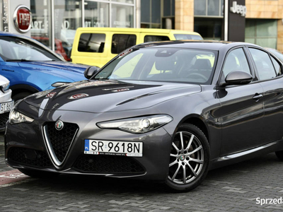 Alfa Romeo Giulia Krajowy, Serwisowany, Bezwypadkowy, 2 kom…